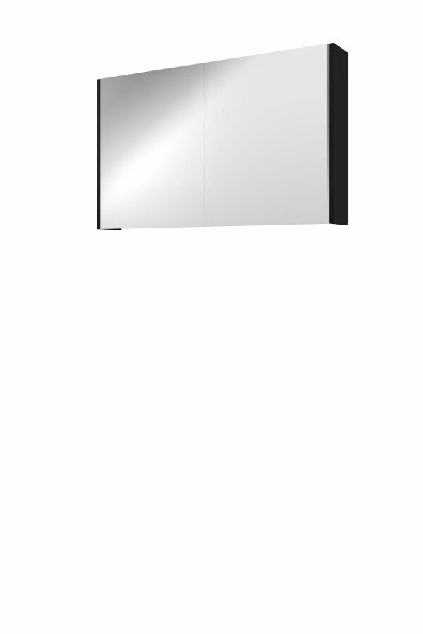 Proline spiegelkast Xcellent met dubbel gespiegelde deuren 2 deuren 1808906 Mat zwart H600xB1000xD140