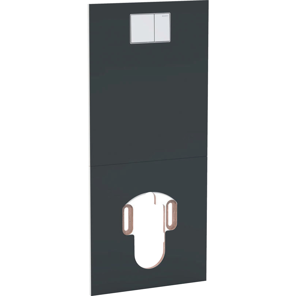 Geberit designplaat voor Aquaclean toilet 115.328.SJ.1