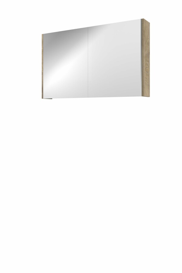 Proline spiegelkast Xcellent met dubbel gespiegelde deuren 2 deuren 1808901 Raw oak H600xB1000xD140