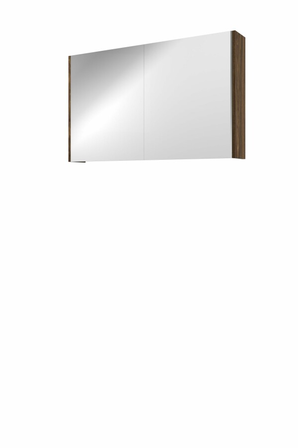 Proline spiegelkast Xcellent met dubbel gespiegelde deuren 2 deuren 1808903 Cabana oak H600xB1000xD140