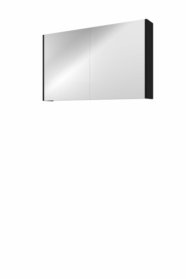 Proline spiegelkast Comfort met spiegel op plaat aan binnenzijde 2 deuren 1808656 Mat zwart H600xB1000xD140